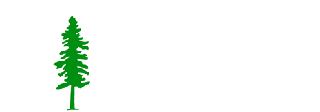Tamer Industries